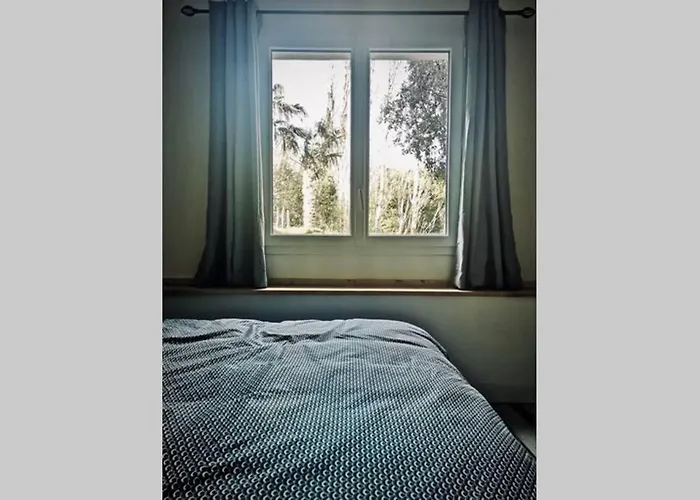 Independant Dans Entre Et Maquis Sisco