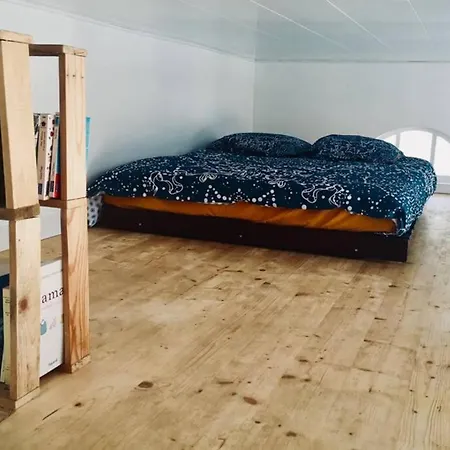 Indépendant Dans Entre Et Maquis * Sisco