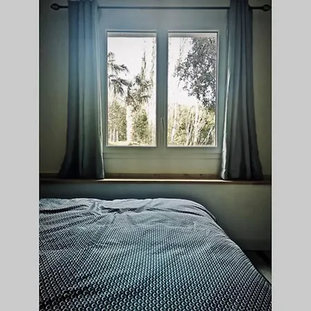 Independant Dans Entre Et Maquis Sisco