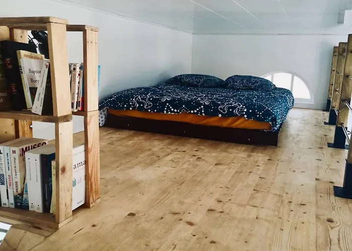 Indépendant Dans Entre Et Maquis * Sisco